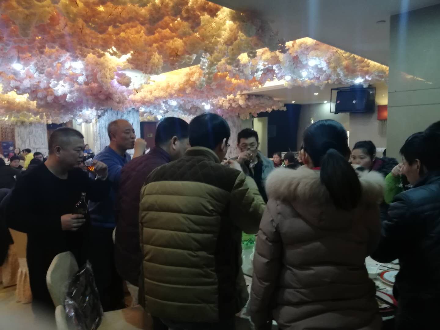 1547789198740447.jpg 敬酒2.jpg